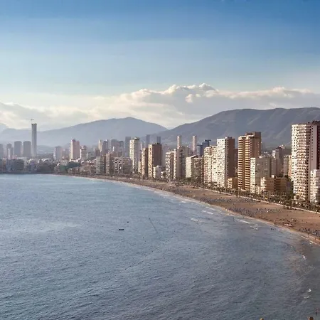 Halcón Benidorm